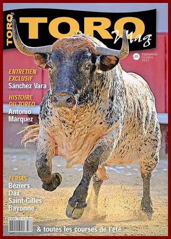 Toromag111h